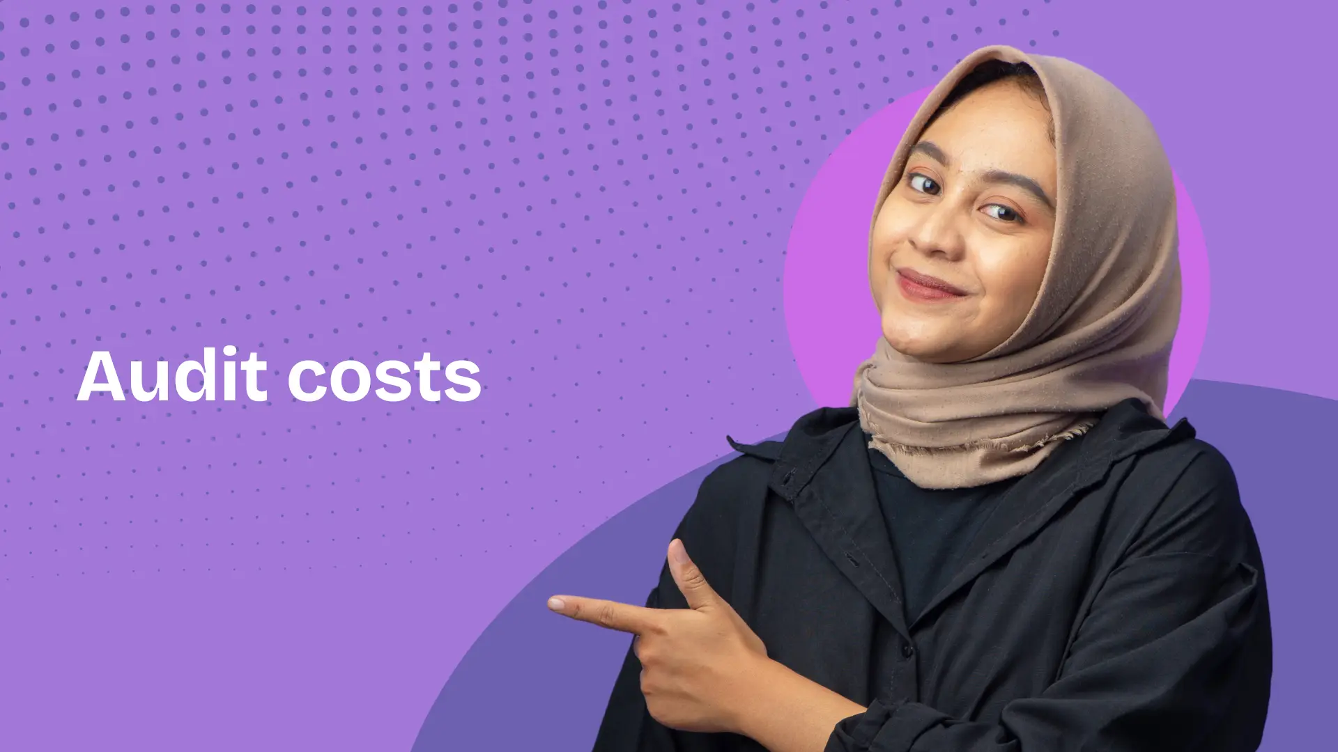Audit Costs