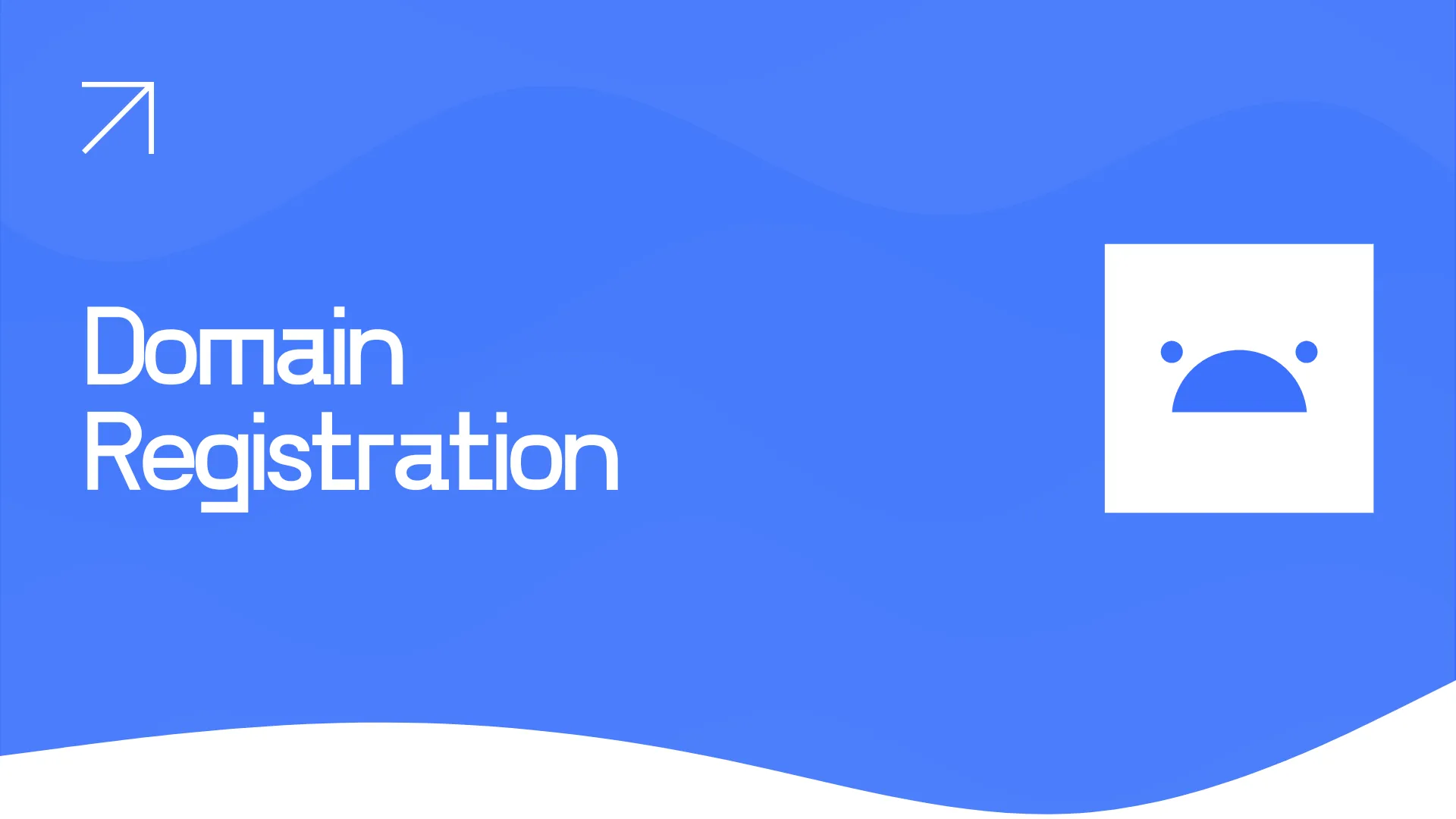 Domain Registration